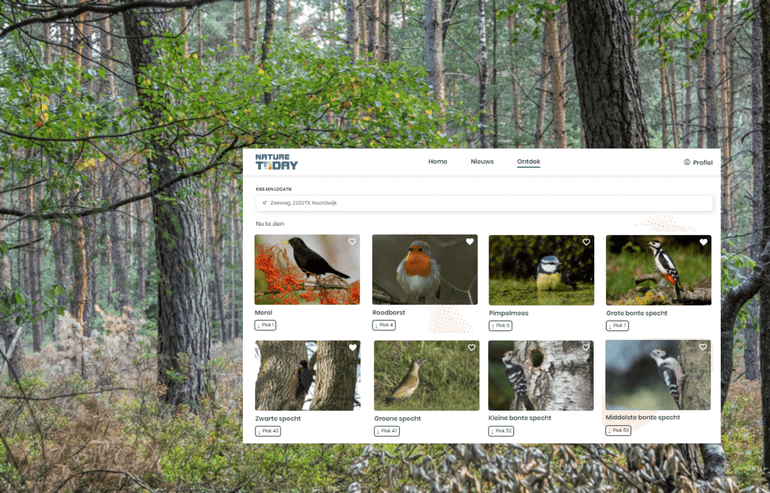 Weergave van verwachte vogelsoorten in de Nature Today-app aan de start van ‘Boswachterspad Kootwijk’ van Staatsbosbeheer (Grevenhout, 3888, Uddel)