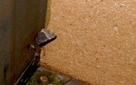 Kars Veling kleine vos overwinterend primair
