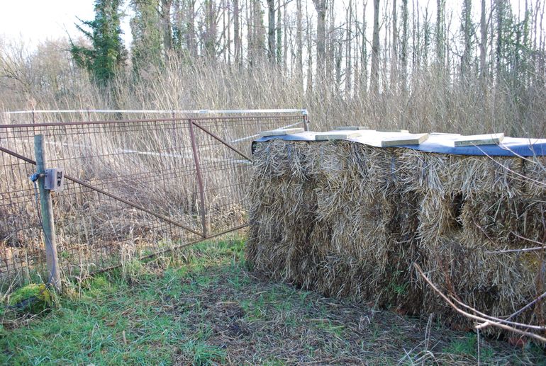 Opstelling van een marterbunker met cameraval gericht op de toegangsopening