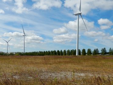 Trekkende insecten, die tussen 20 en 200 meter hoogte vliegen, lopen het risico om slachtoffer te worden van windmolens