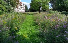 Vivienne van Sante, gemeente Arnhem Bloemenweide Presikhaaf
