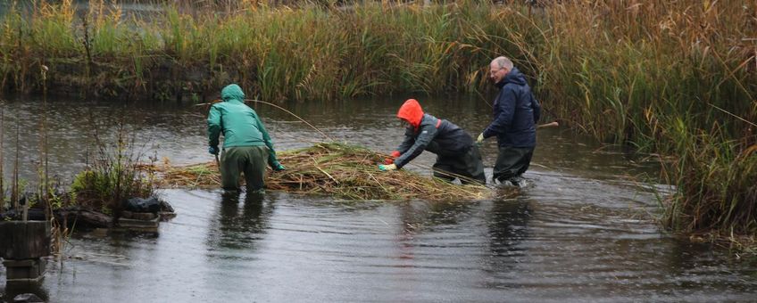Niels en Heleen Jeurink op de Natuurwerkdag 2025 bij zwembad Beekhuizen in Velp