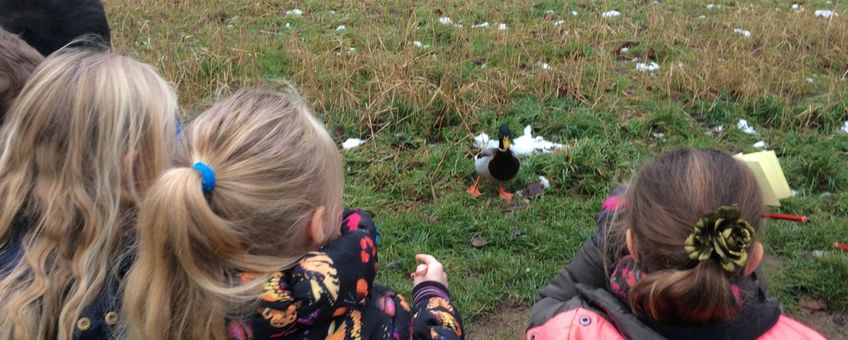 Basisschoolkinderen CNS Basisschool De Vlinderboom in Ede tellen vogels in kader tuinvogeltelling