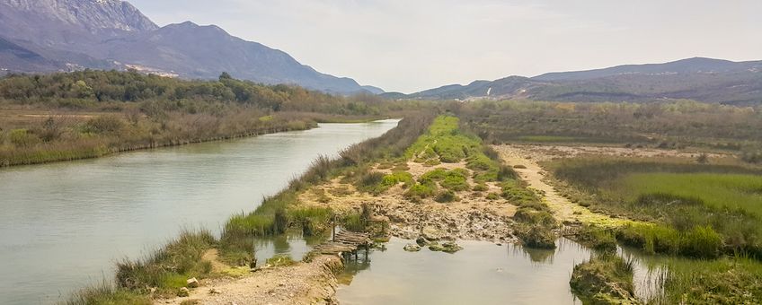 Het natuurreservaat Tivat saline