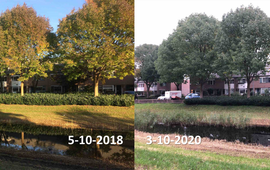 GrowApp.today Essen op 5 oktober 2018 en 3 oktober 2020 in Ede