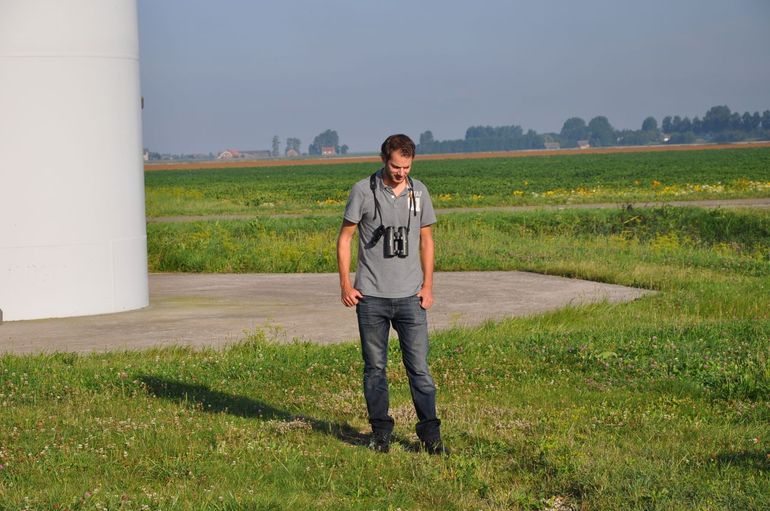 Vleermuisonderzoek in de buurt van een windturbine