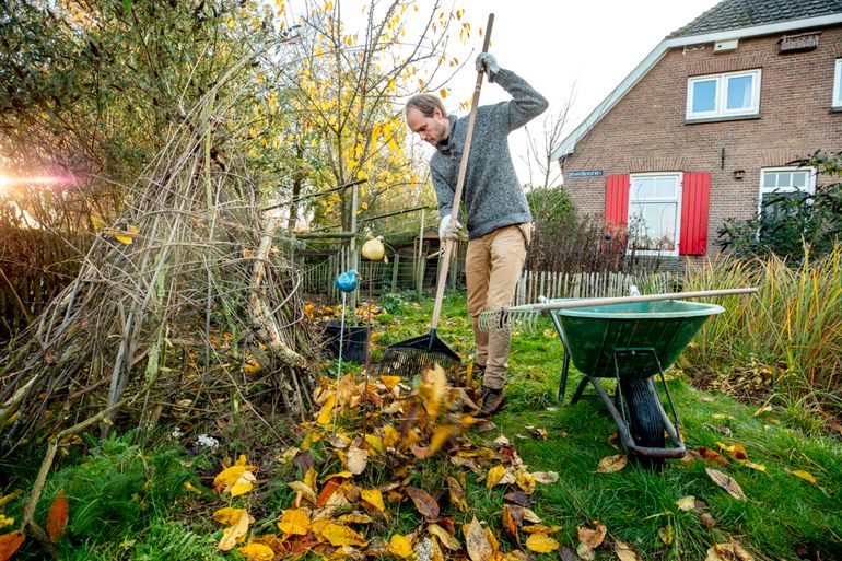 Laat ook wat blad liggen voor kleine beestjes