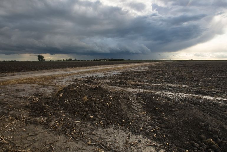 Aardappelakker op afgegraven hoogveen bij Stadskanaal met zeer hoog gebruik van bestrijdingsmiddelen