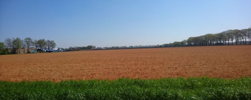 Glyfosaat is gewoon toegestaan, ook vlak naast een natuurgebied