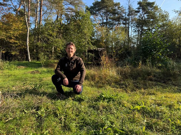 Bert Jan Godeke is expert bij IPC Groene Ruimte op het gebied van groenbeheer en -onderhoud op &lsquo;natuurvolgende&rsquo; wijze