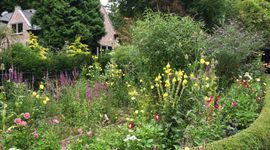 vlindertuin