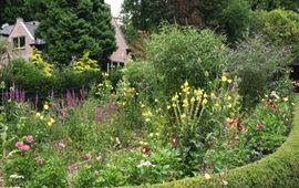 Kars Veling vlindertuin