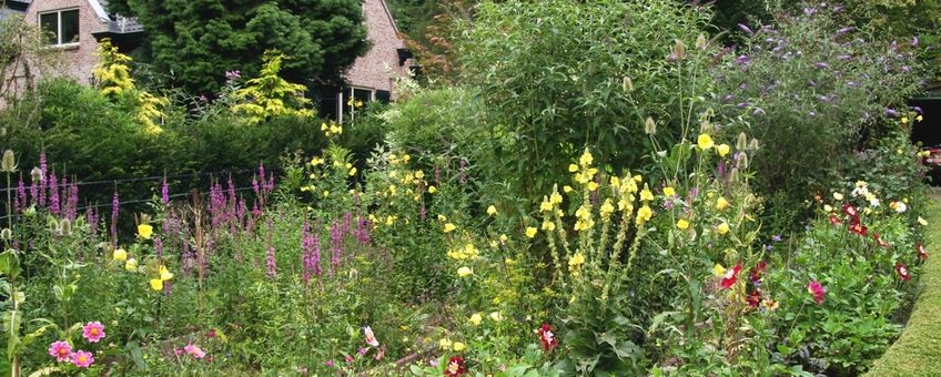 vlindertuin