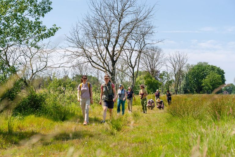De groep ontdekt de unieke natuur van de Peel en de effecten van herstelmaatregelen