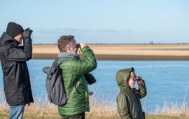 Marjolein den Hartog - Kissmyarts NP Nieuw Land lead