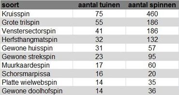 Top 10 van getelde spinnen, gerangschikt naar aantal tuinen waarin ze geteld zijn