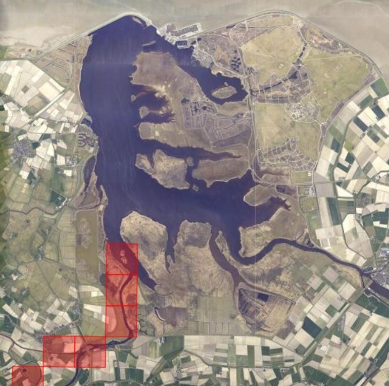 Verspreiding waterteunisbloem in het Lauwersmeer (2017-2023)