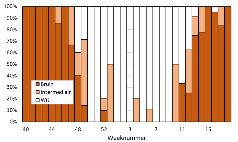 Voorkomen van bruine, intermediaire en witte hermelijnen per standaardweek in de database van Waarneming.nl in de periode 1 oktober 2018 tot en met 3 januari 2021, alleen de maanden oktober tot en met april. Het betreft 204 waarnemingen op verschillende dagen en verschillende locaties