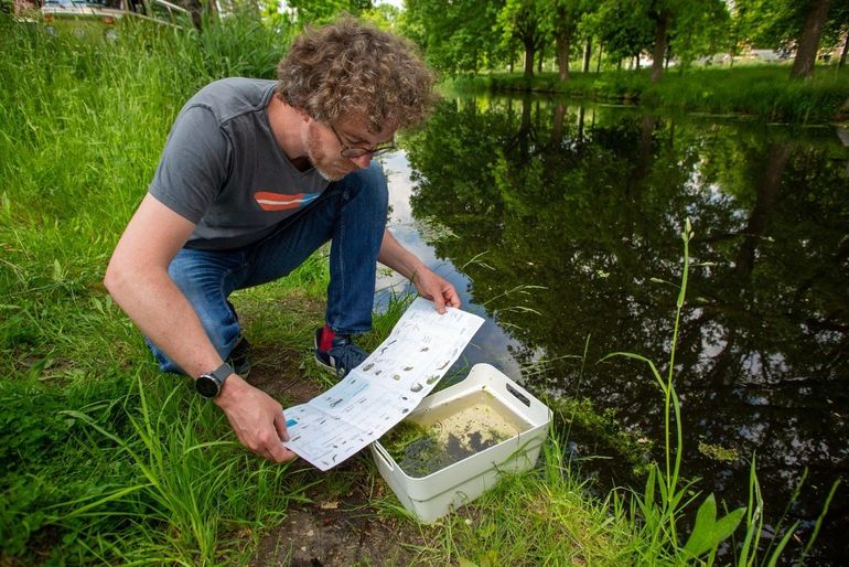 Burgerwetenschapper in actie 