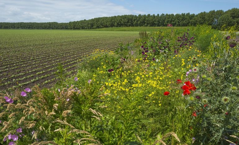 Het is tijd voor een omschakeling naar een zowel natuur- als boervriendelijk landgebruik