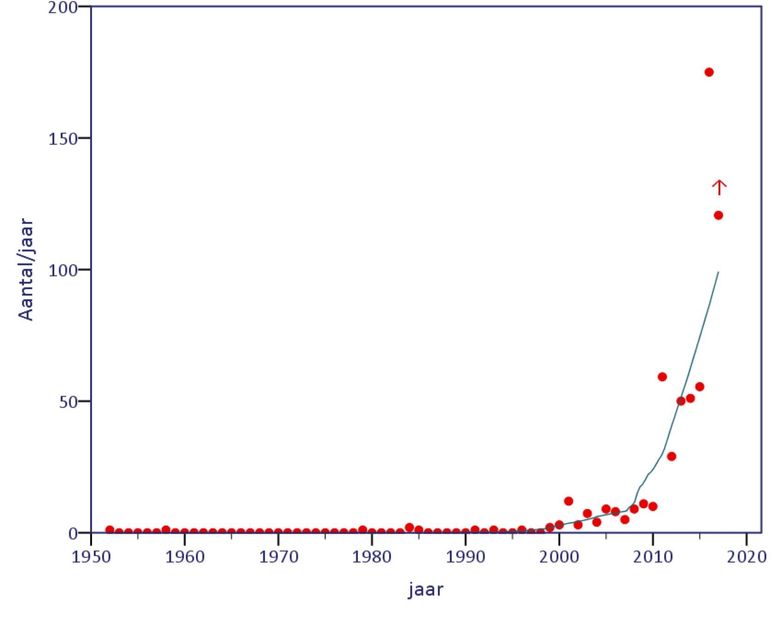 Gesommeerde losse waarnemingen uit Waarneming.nl op een rij gezet. Met de rode pijl is 2017 weergegeven. Het aantal waarnemingen in Nederland zal tegen het einde van 2017 waarschijnlijk het recordjaar 2016 overstijgen