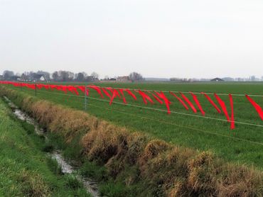 Uitrol van de turbo fladry die schapen beschermt tegen aanval van wolven