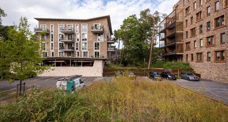 Groen bij appartementencomplex in de wijk Kerckebosch in Zeist