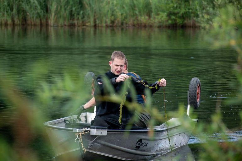 Waterplant uit Lake Lowlands