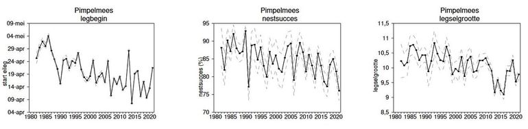Grafieken van legbegin, nestsucces en legselgrootte voor de pimpelmees in de periode 1980-2021
