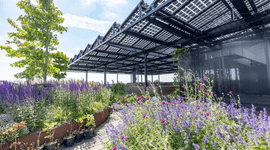 Aeres Hogeschool
