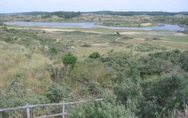 Donar Reiskoffer, CC BY-SA 3.0 Duinen in Nationaal Park Zuid-Kennemerland