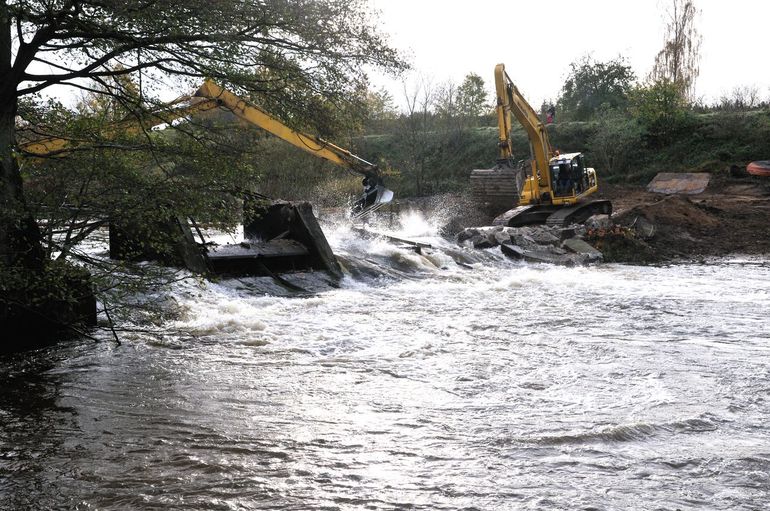 Dammen verwijderen zorgt voor snel natuurherstel