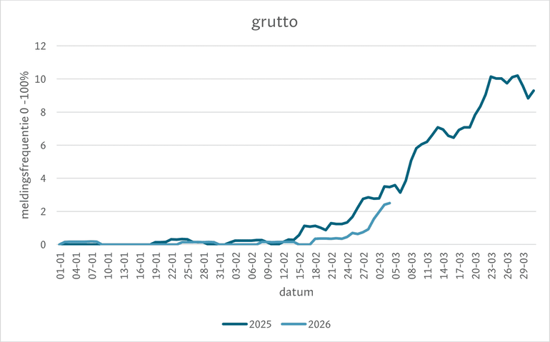 Figuur 1. De meldingsfrequentie van de LiveAtlas-lijsten waarop de grutto is waargenomen, in 2025 en 2026. De dagelijkse trefkans wordt berekend op basis van het gemiddelde van de afgelopen zeven dagen
