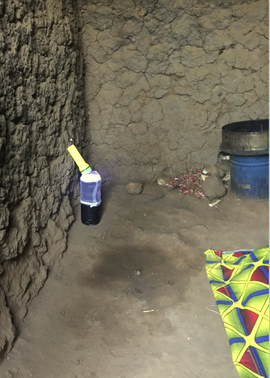 Mosquito trap Rwanda citizen science