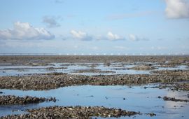 Oosterschelde