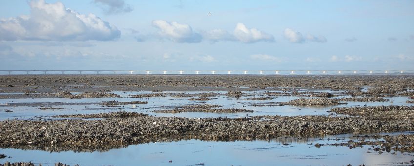 Oosterschelde