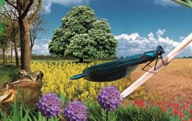 De Natuurkalender Fotocollage Natuurkalender