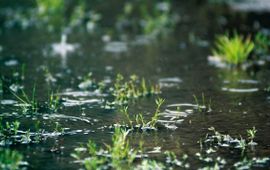 Provincie Noord-Brabant Doe de Dommel