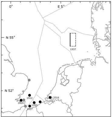 Alle historische waarnemingen van de wolkrab in de zuidelijke Noordzee uit de literatuur. En 1 stip voor de Oosterschelde van de 2016/2017-waarneming
