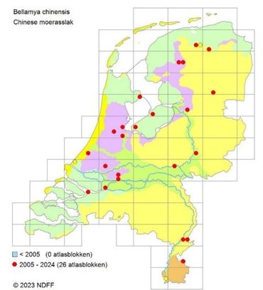Verspreiding van de Chinese moerasslak in Nederland