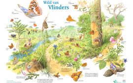 Jeroen Helmer/ARK Natuurontwikkeling VOOR EENMALIG GEBRUIK Zoekkaart Wild van Vlinders