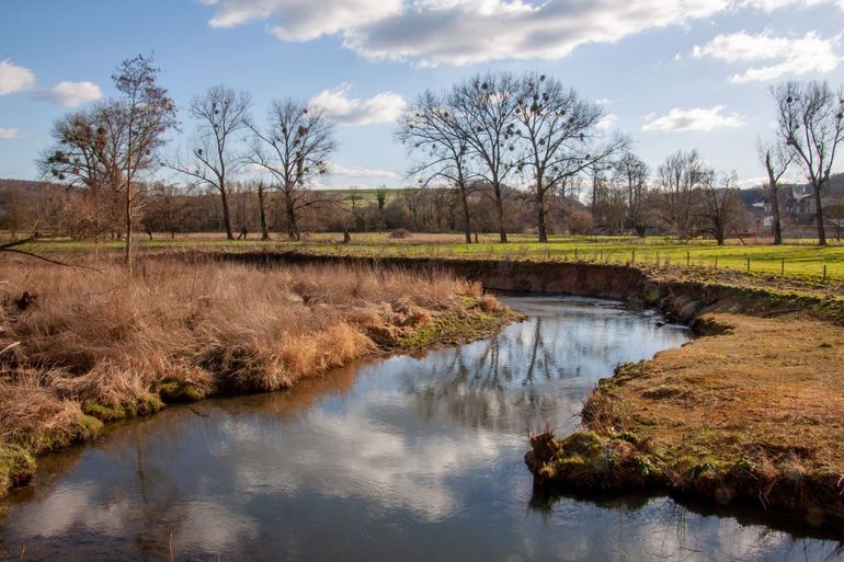 Een rivier met een natuurlijke loop biedt meer ruimte voor natuur én water