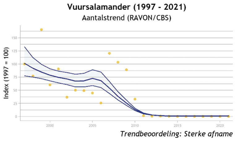 De aantalstrend van de vuursalamander