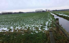 Weiland aan de Dijkgraaf in Wageningen op 11 december 2017