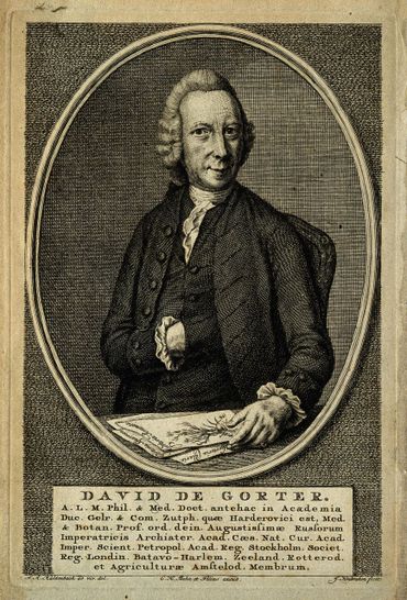 David de Gorter