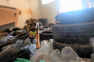 Sonic heeft de bal gevonden in een kamer vol oude flessen en banden