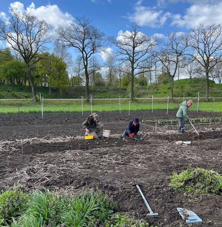  Anne en twee vrijwilligers op het Nieuwe Land in het vroege voorjaar 