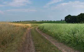 Natuur in Nederland