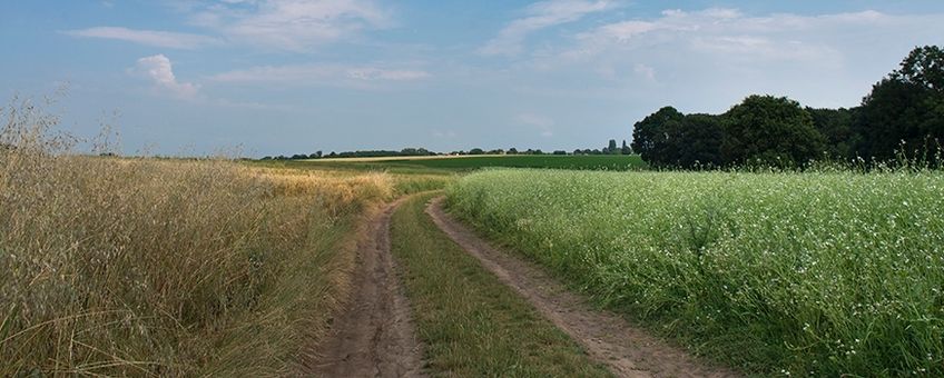 Natuur in Nederland