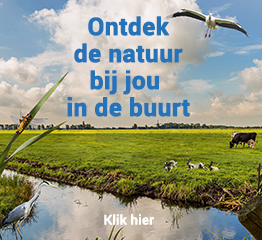 Nature Today nl